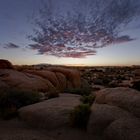 Evening in the Desert