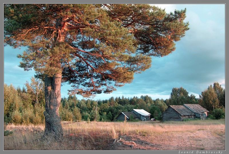 Evening in the village