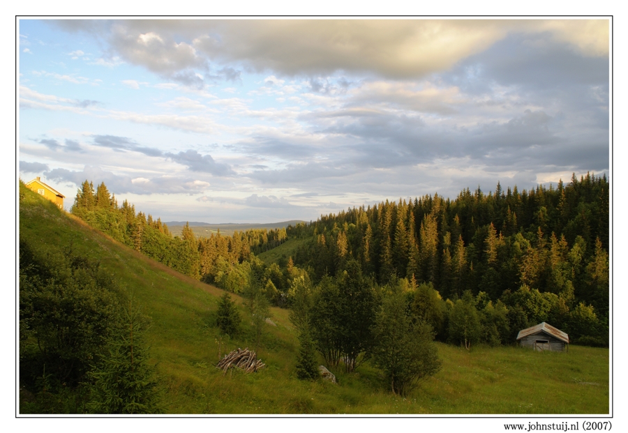 Evening landscape