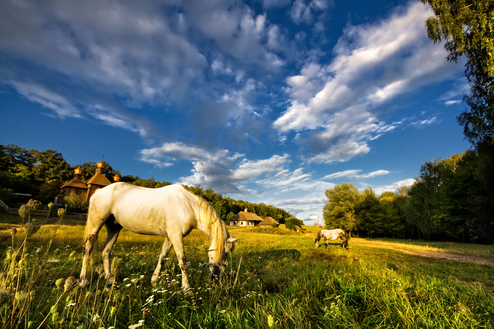 Evening landscape