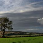 Evening landscape