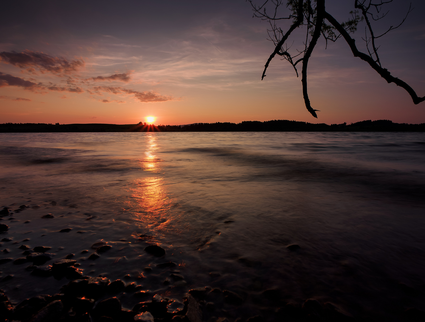 ~ Evening light ~