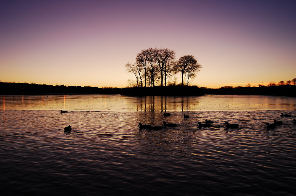 Evening Loch