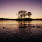 Evening Loch