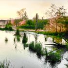 Evening Marsh - Lake Jordan