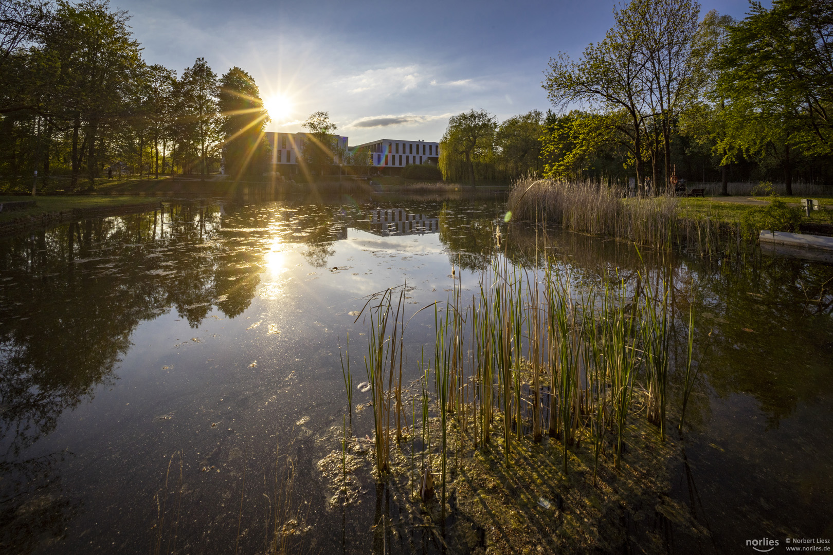 Evening mood at the unversity lake