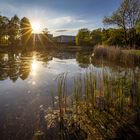 Evening mood at the unversity lake