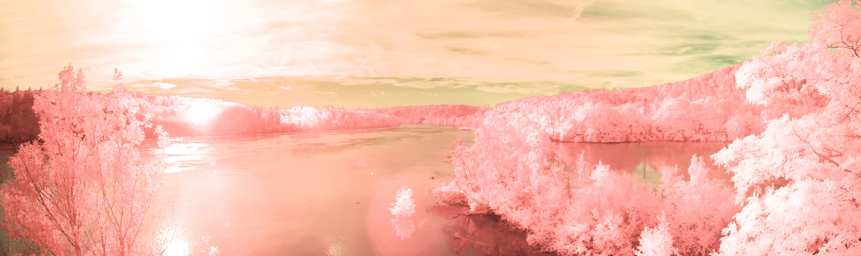 evening on a pink planet