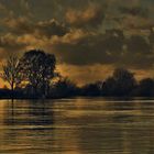 Evening on the River Trent