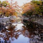 Evening over gentle murmur of a brook