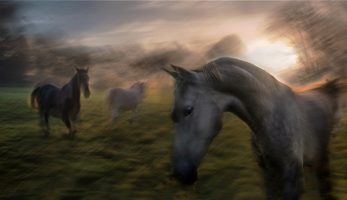 Evening pastoral