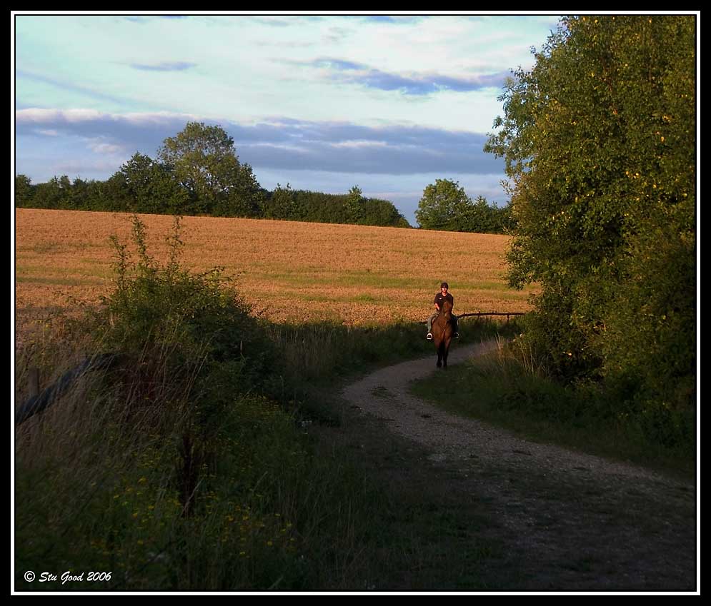 Evening Ride