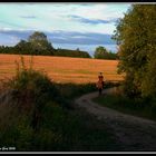 Evening Ride