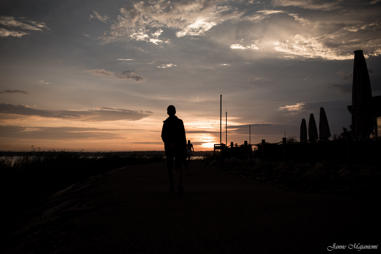 Evening Silhouettes