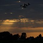 Evening sky and the Land !