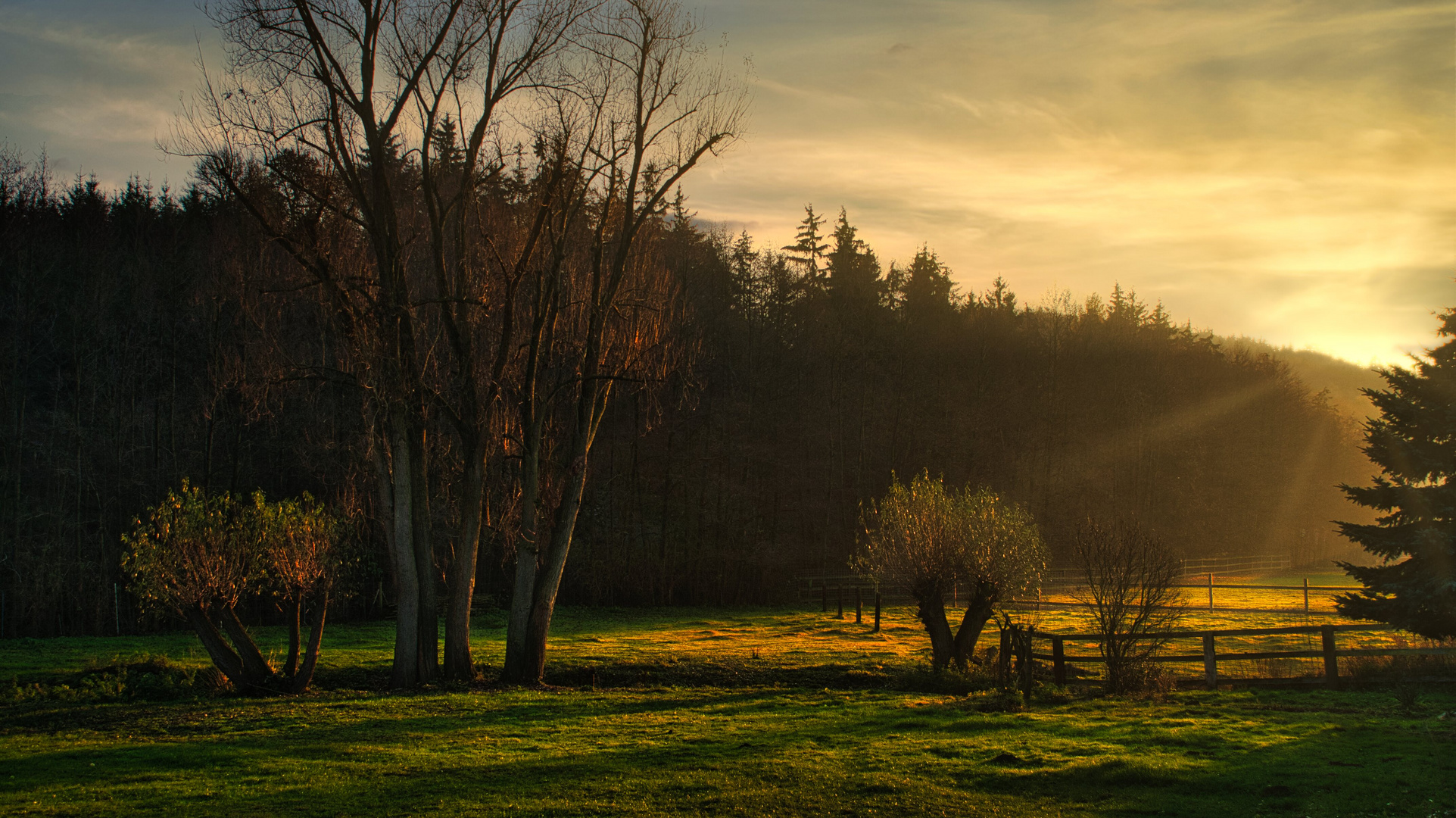 Evening Sun