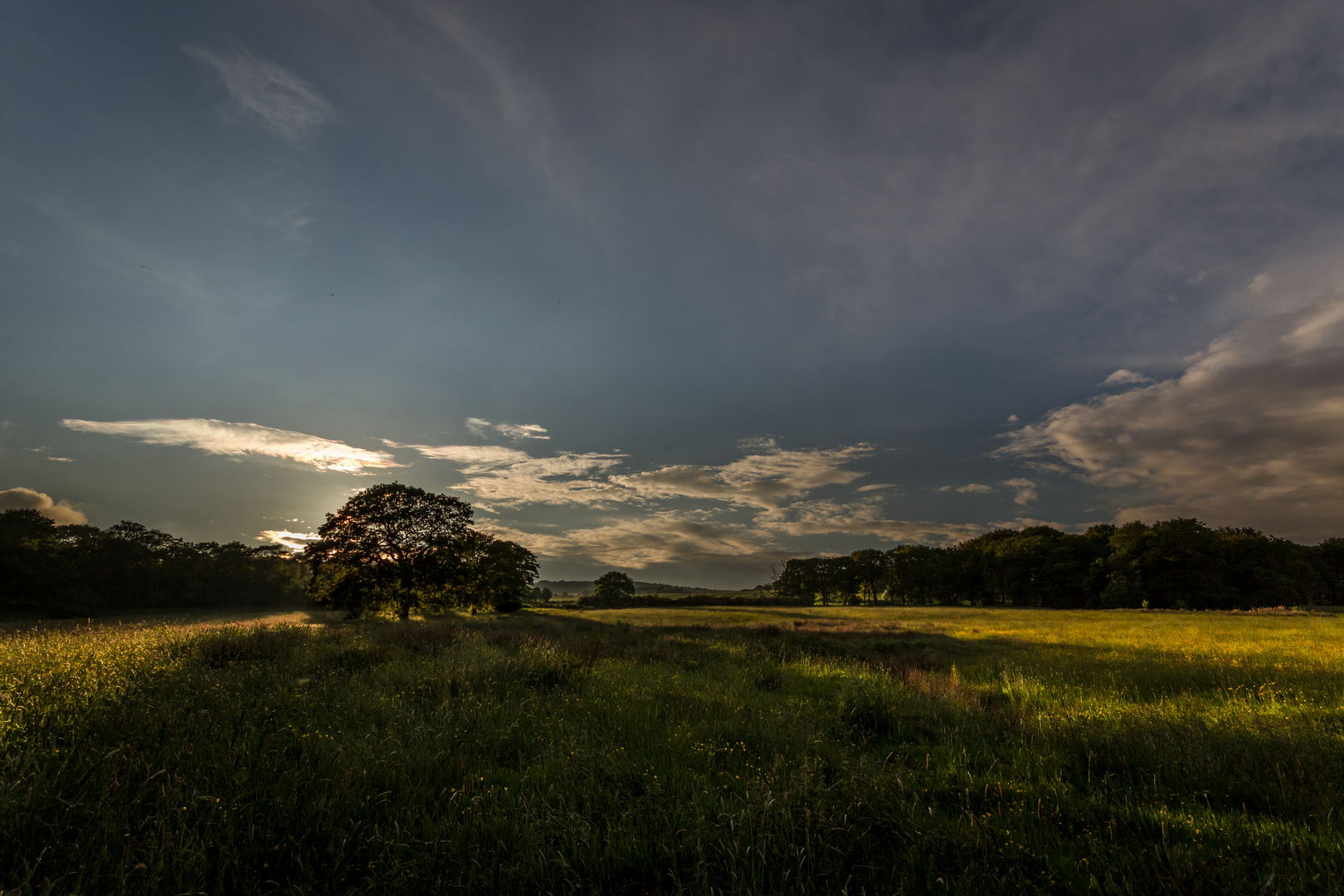 Evening Sun