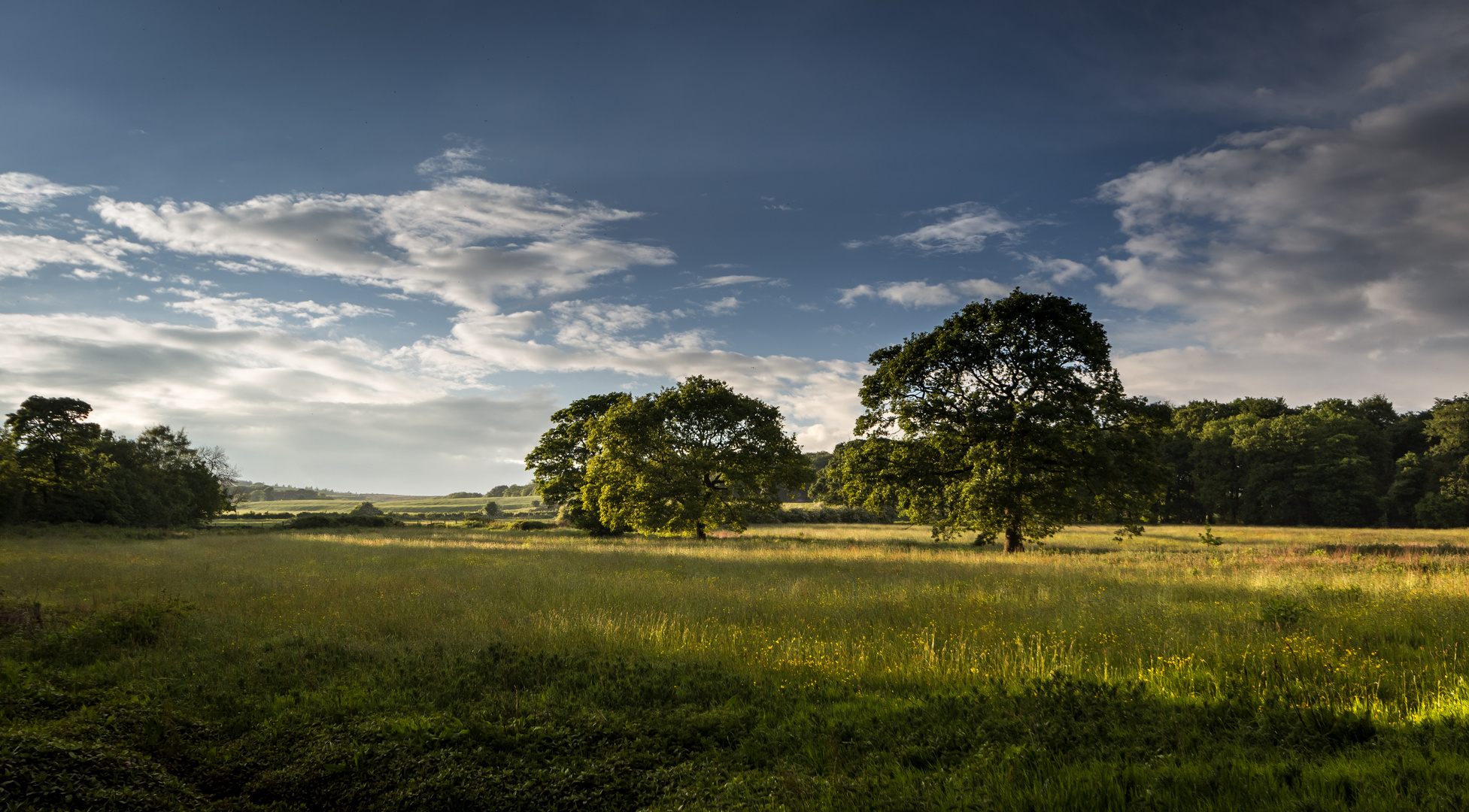 Evening Sun ...