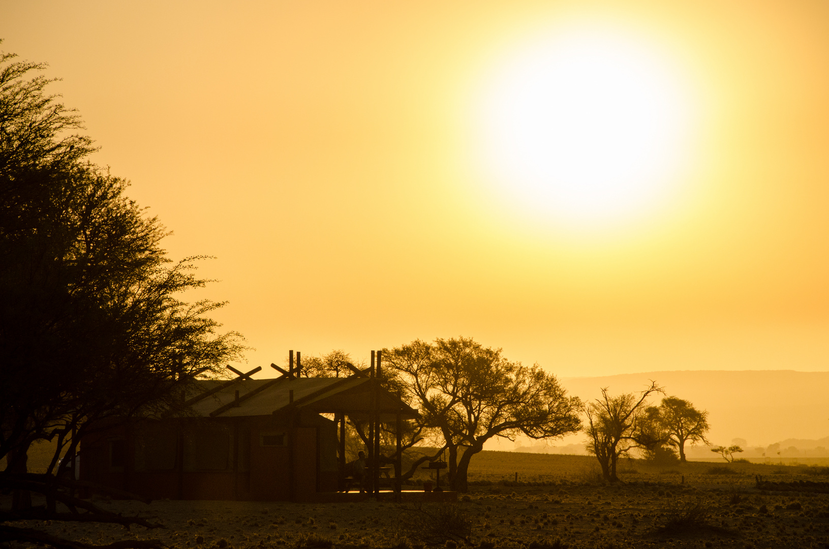 Evening Sun @ Desert Camp - Namibia 