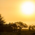 Evening Sun @ Desert Camp - Namibia 