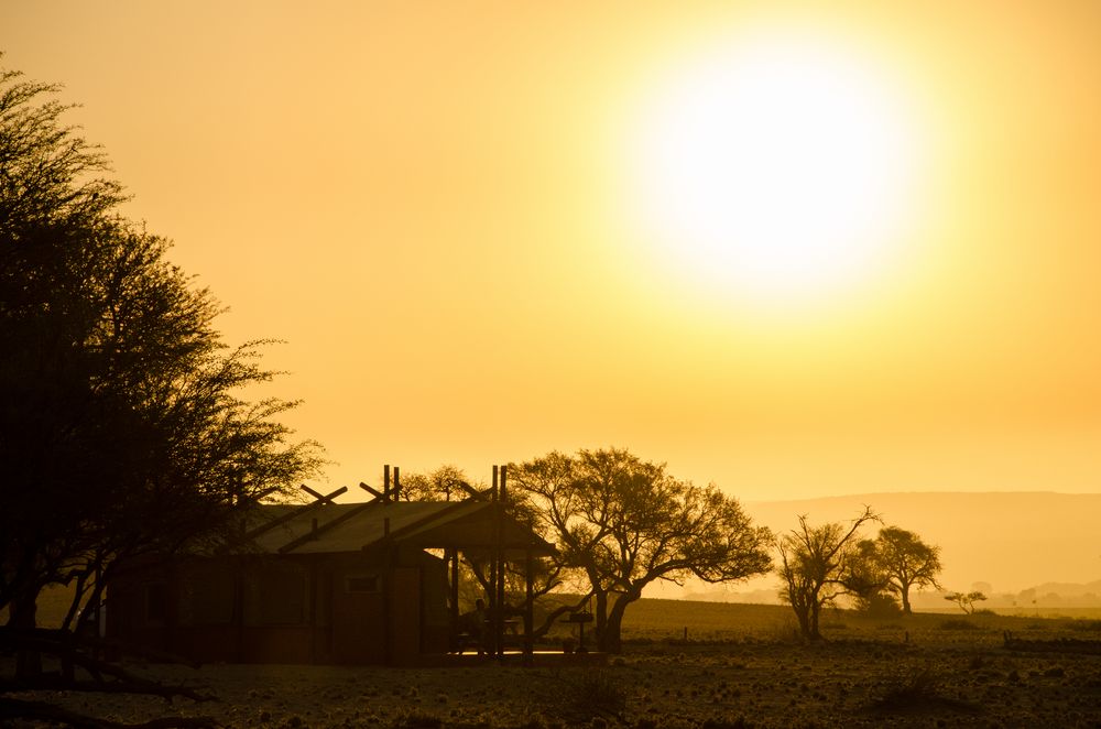 Evening Sun @ Desert Camp - Namibia 