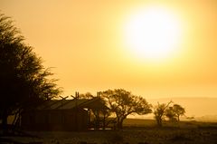 Evening Sun @ Desert Camp - Namibia 