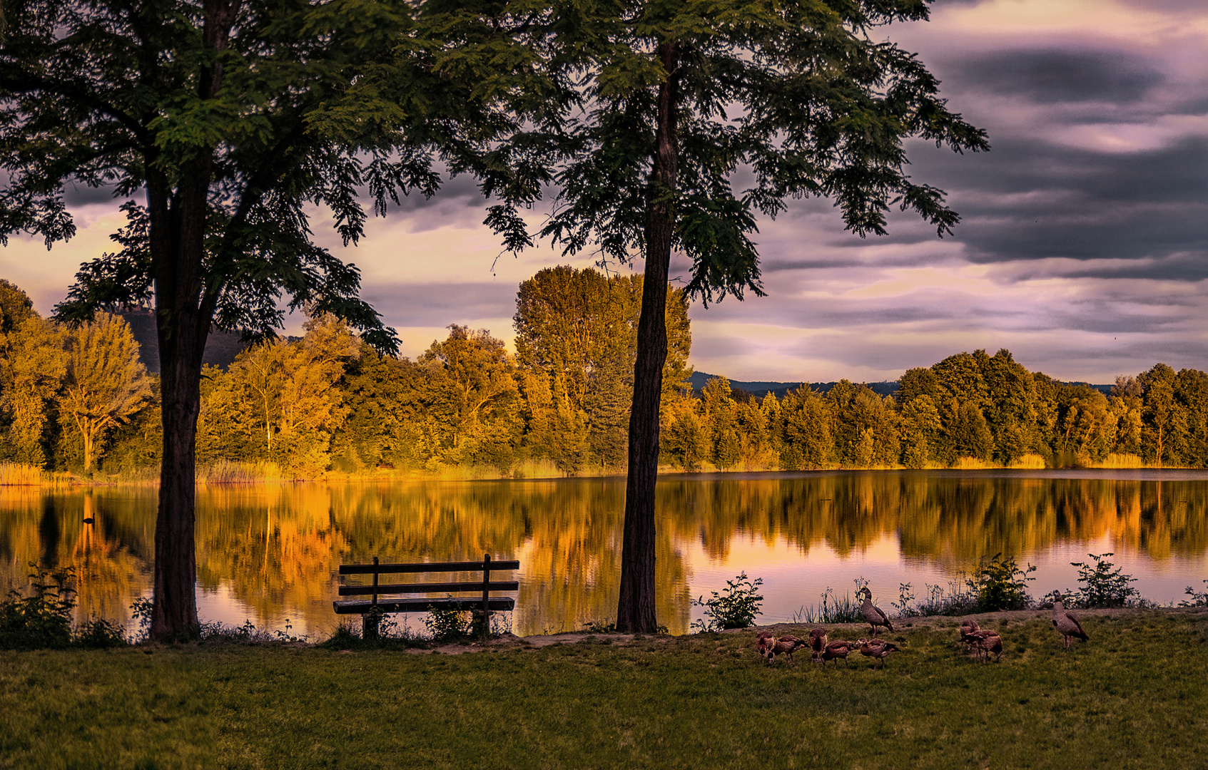 Evening sunlight