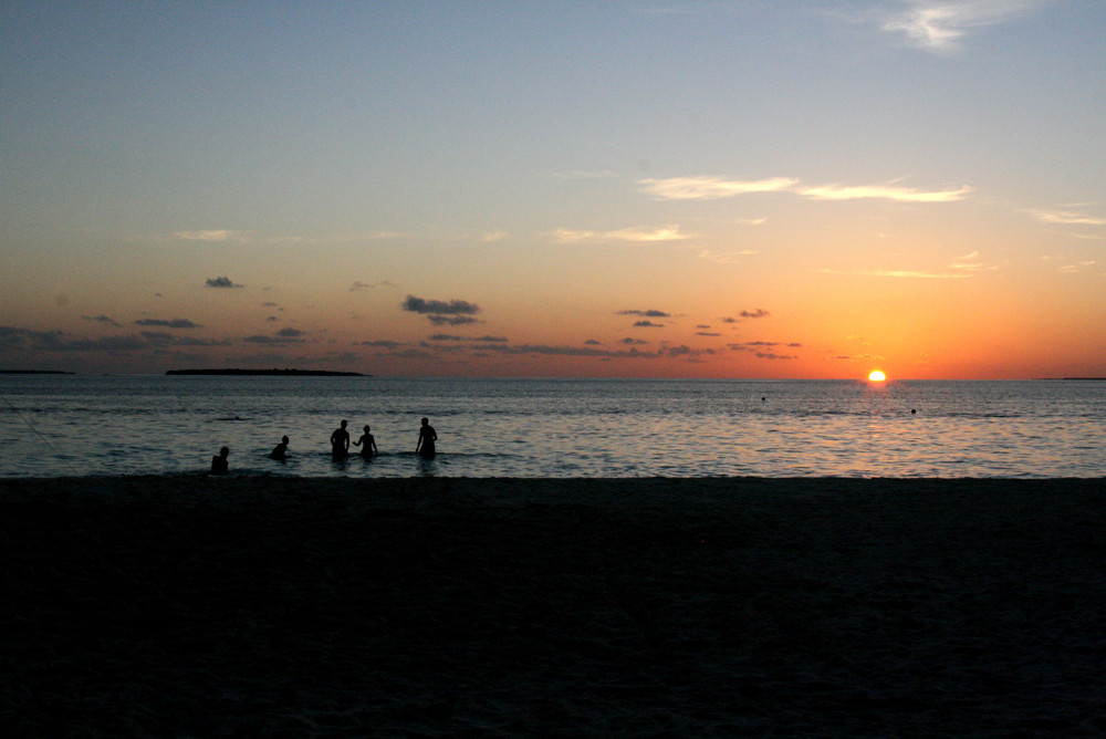 Evening Swim