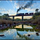 Evening Train