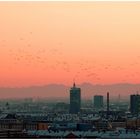 Evening view - Abendstimmung