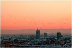 Evening view - Abendstimmung