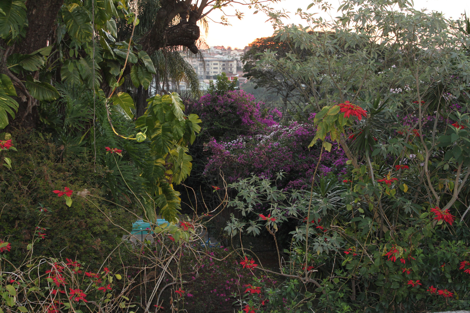 Evening view from balcony