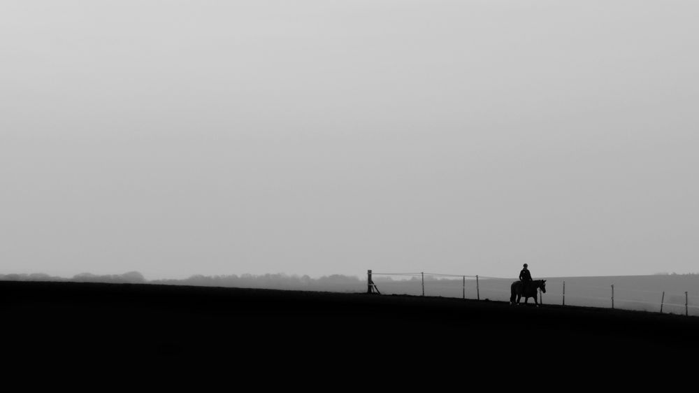 Evening walk