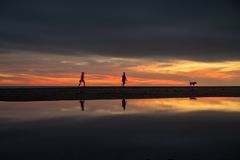 Evening Walk