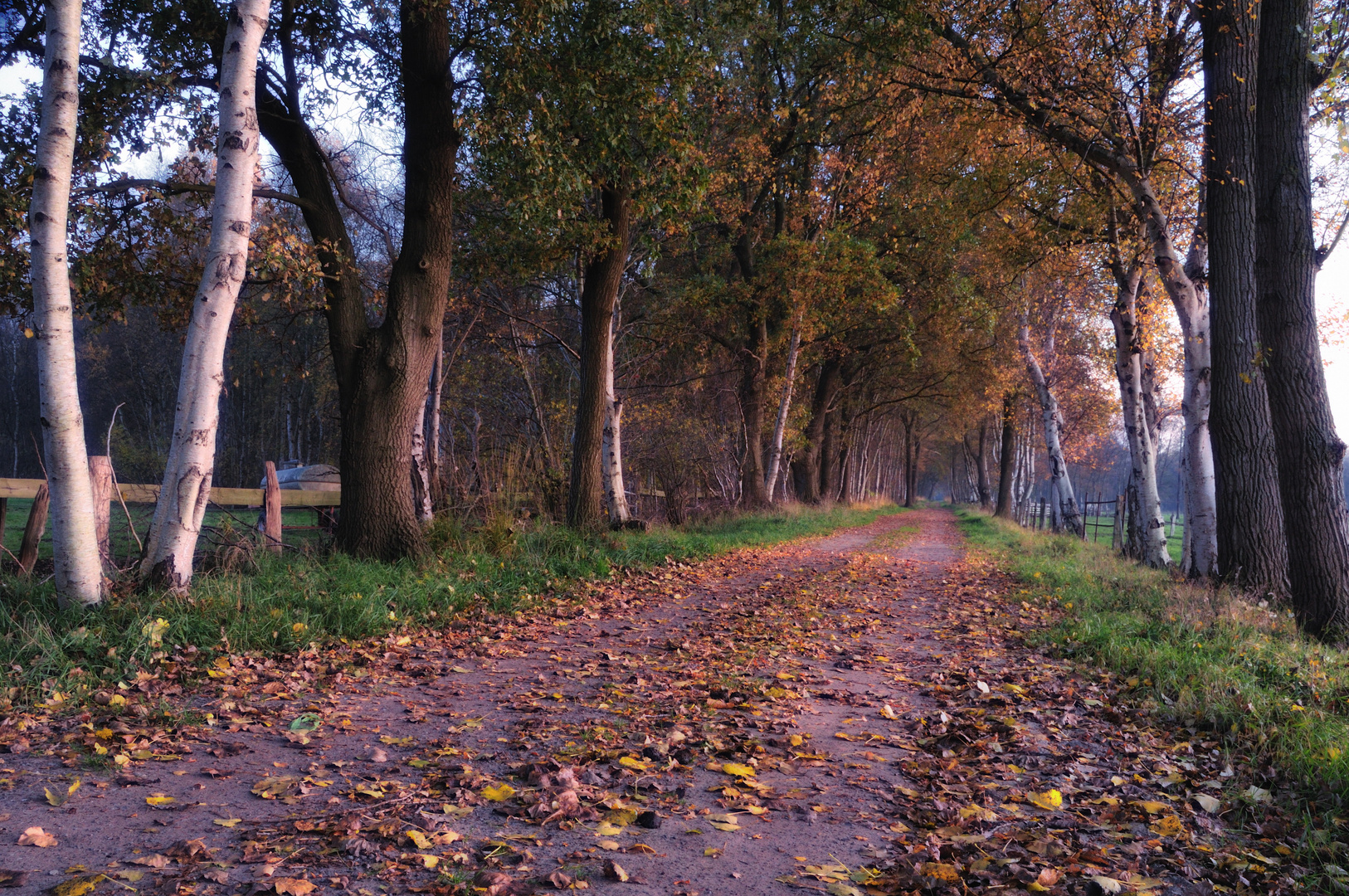 evening walk