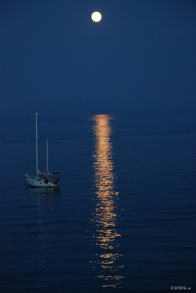 EVENING WITH MOON