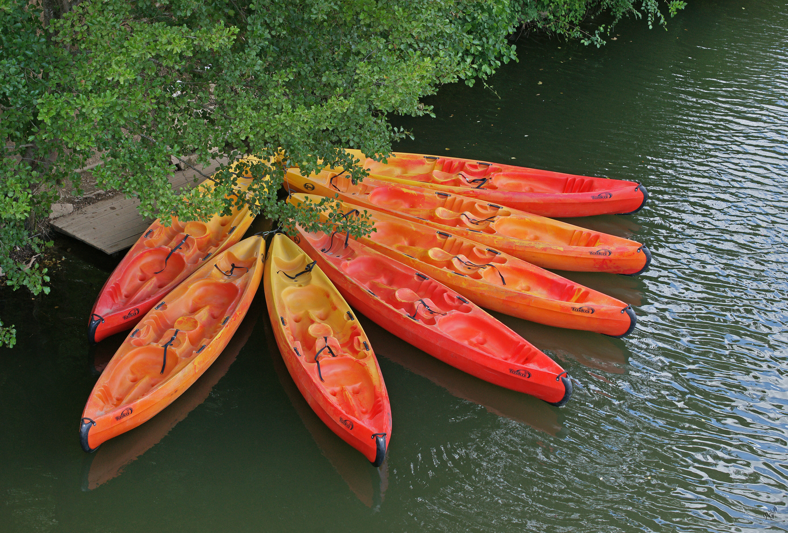 Eventail de couleurs estivales