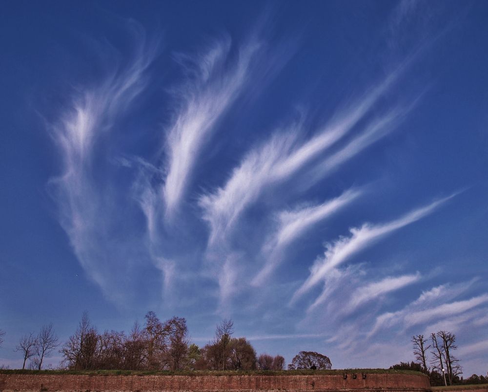 èventail en plumes... di claudine capello 