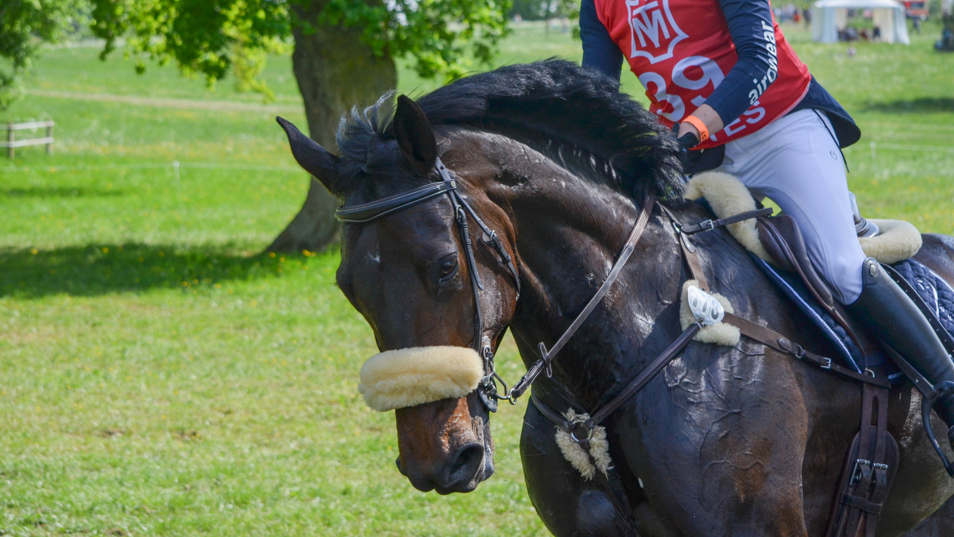 Eventing Marbach 2018 CIC*3 Gelände