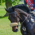 Eventing Marbach 2018 CIC*3 Gelände