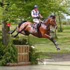 Eventing/Vielseitigkeit Marbach 2014