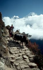 Everest Region - im Hintergrund der Ama Dablam