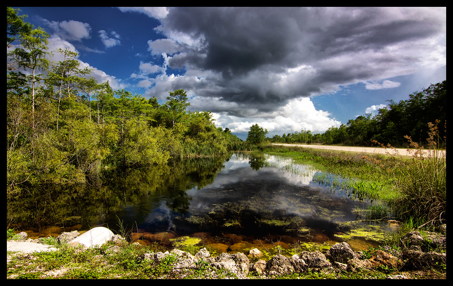 Everglades