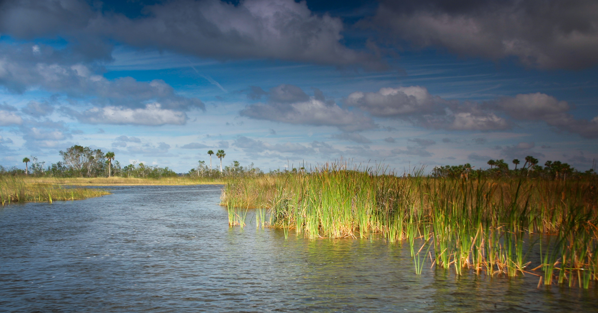 Everglades 2