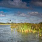 Everglades 2