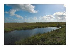 Everglades