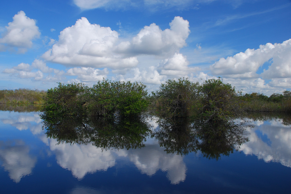 Everglades