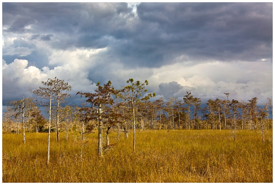 Everglades,....