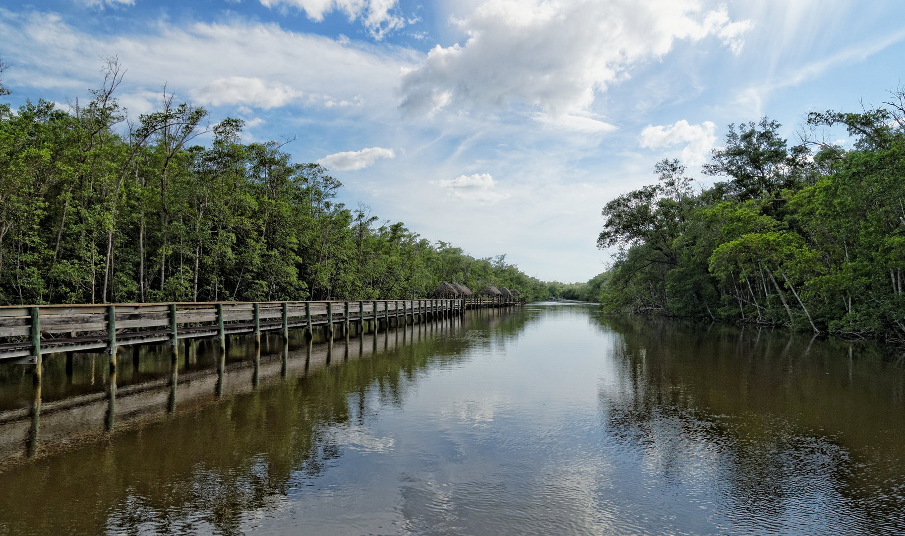 Everglades