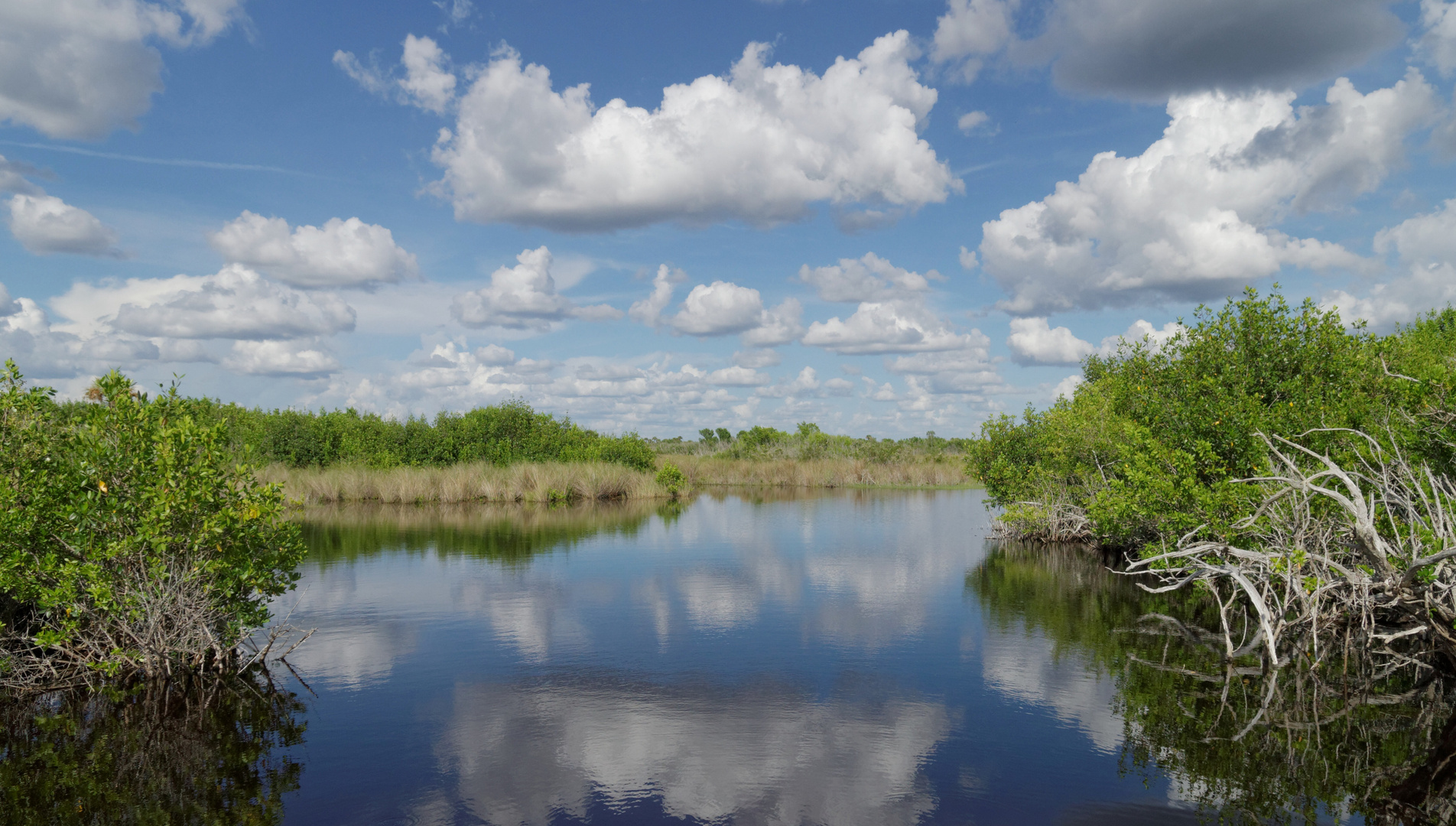 Everglades